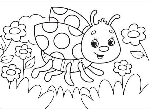 Ladybug Coloring Page Free Printable Coloring Pages