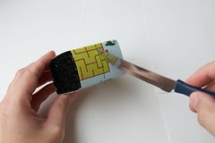 StrawsSnootsWColor_003