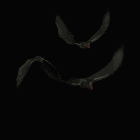avatar: Halloween: Vampire Bats