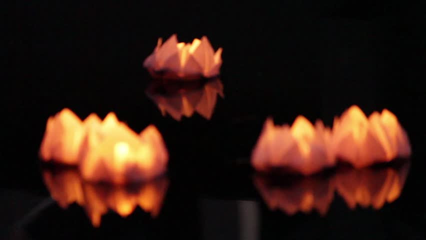 Download Floating Lotus Flower Paper Lanterns On Water Stock ...