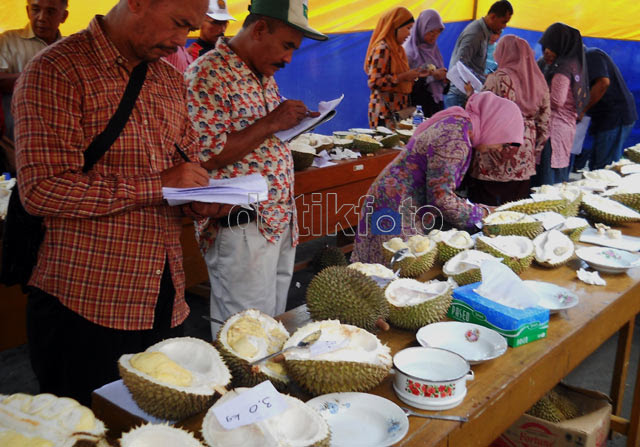 Adu Bagus Durian Kalibawang