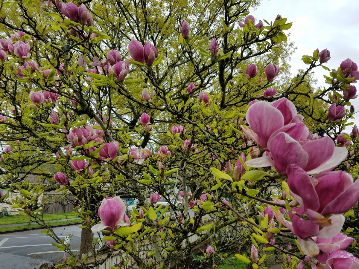 S7 Edge Pics 12