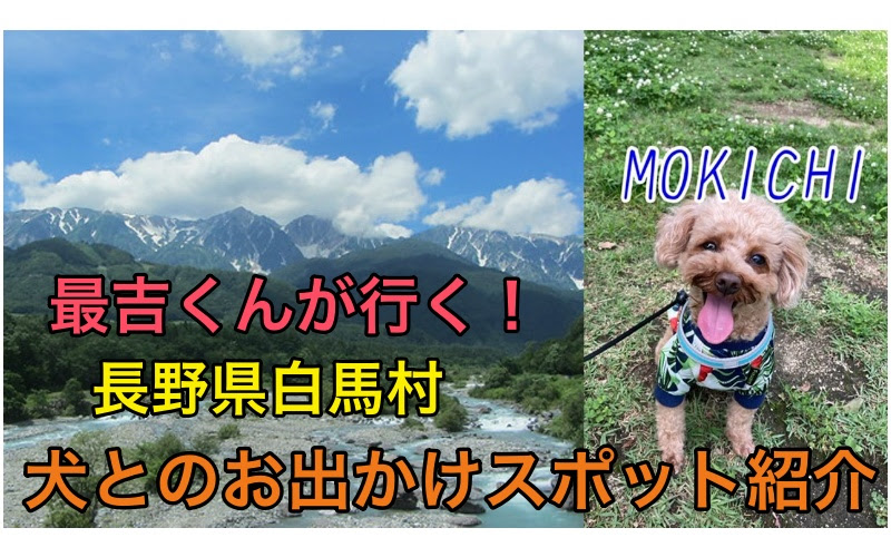 長野県白馬村 犬とお出かけできる スポットの体験談ブログ ワンワンblog