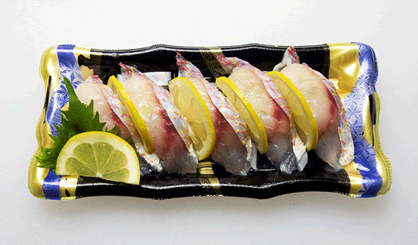 Fish Food Times 5 17 樋口知康