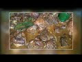 এই Mangsho Ranna খেলে শরীর হয়ে যাবে গরম | Desi Easy Murgi Recipe Bengali...