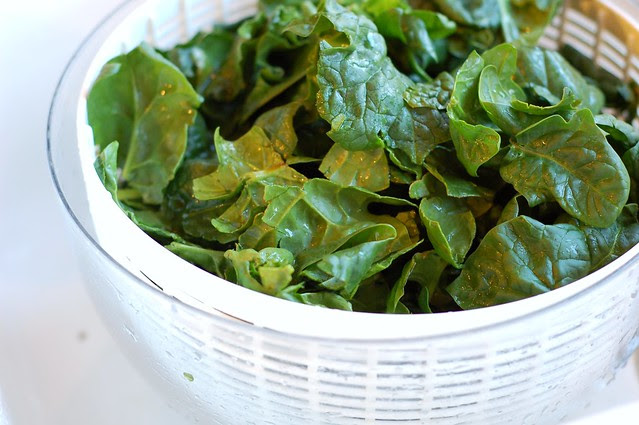 Spinach by Eve Fox, Garden of Eating blog, copyright 2013