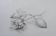 Baru 38+ Sketsa Bunga Sakura 3D