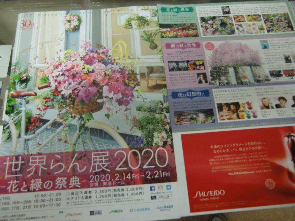 世界らん展 花と緑の祭典 東京ドーム 水道橋の金券 チケットショップ T 1