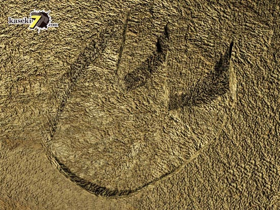 恐竜のフットプリント化石のネガポジの謎 なぜ膨らんでいる足跡化石があるのか 恐竜化石に関するコラム 三葉虫 アンモナイト サメの歯