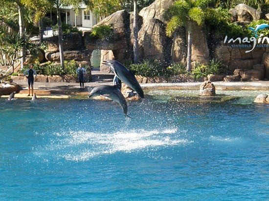 gold coast queensland. Learn more about Gold Coast