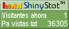 Audiencia web