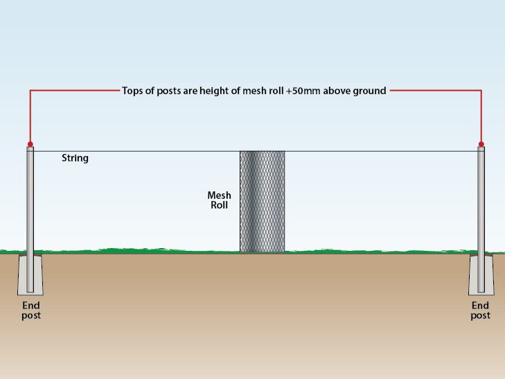 string-between-posts-to-measure-height-of-mesh