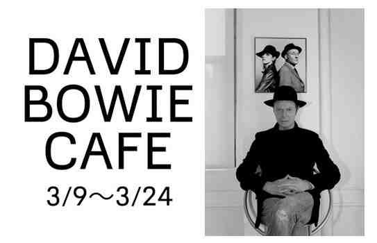 Tokyo David Bowie Cafe Opening Soon!