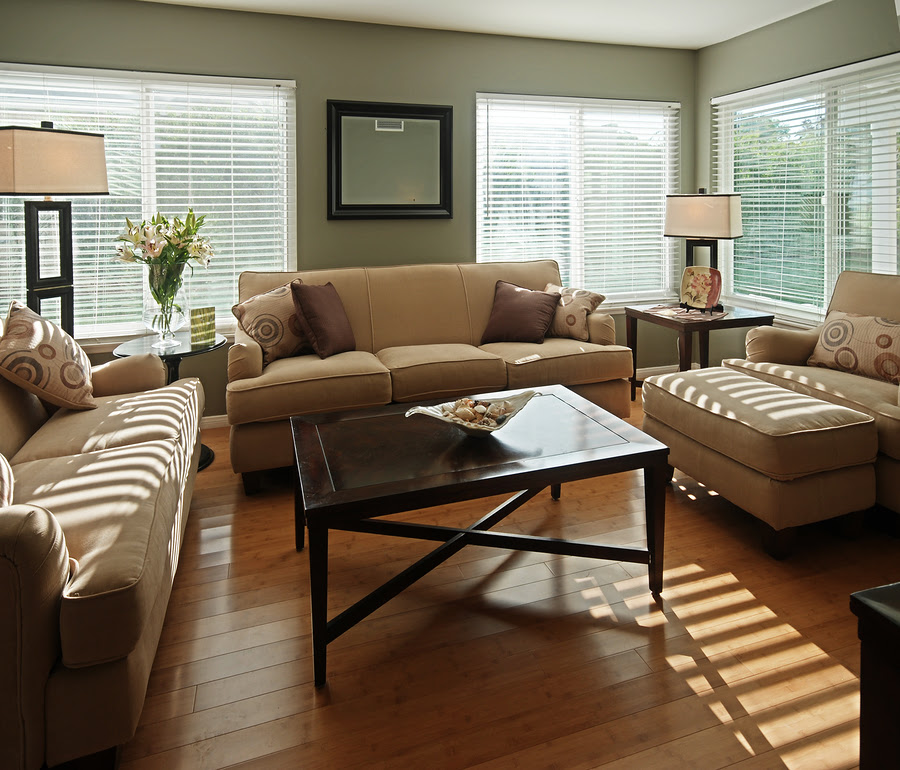 Living Room Color Schemes Living Room Color Schemes