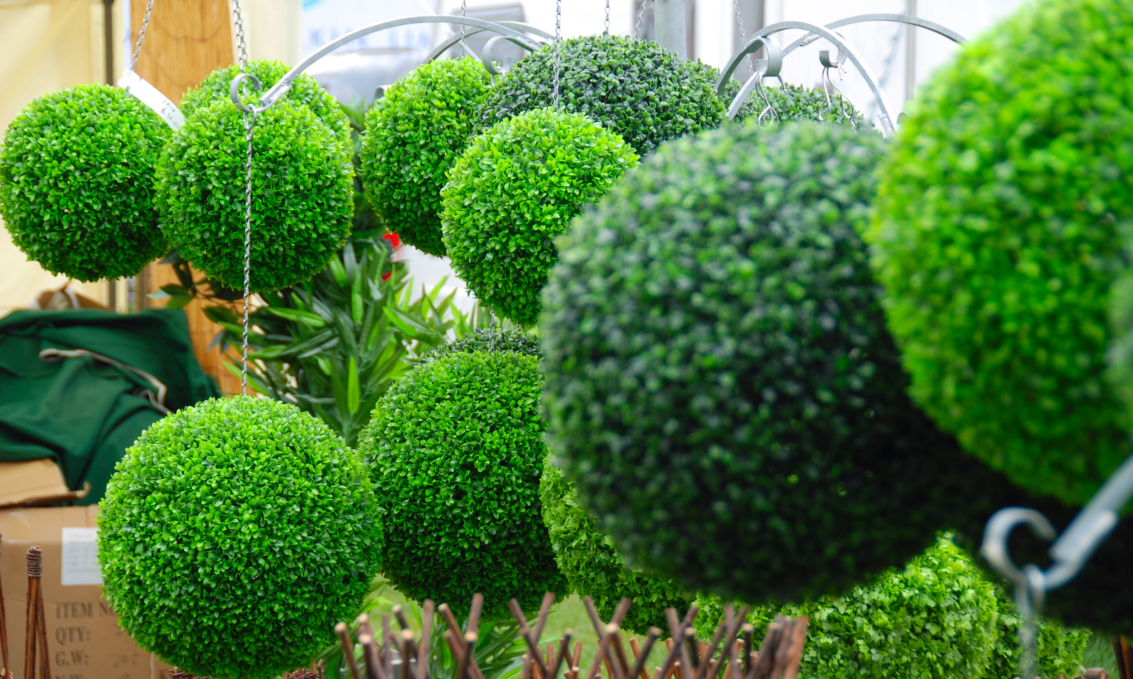 Eco Friendly Gardening Ideas That Will Have You Seeing Green
