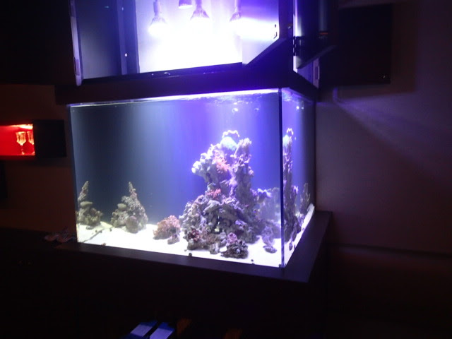 アクア研究室 湧昇流をプラスするだけでいろいろ便利かも