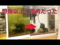 [ベスト] コケ取り 貝 153429-コケ取り 貝 海水