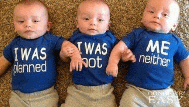 California Couple Conceives Identical Triplets - ConceiveEasy