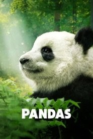 Pandas 映画 無料 オンライン ストリーミング .jp 2018