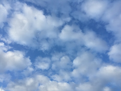 夕方になって草刈り ホーセの見てある記２