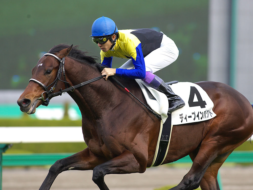 G1競馬レースで優勝を果たした名馬のかっこいい高画質画像 壁紙まとめ 写真まとめサイト Pictas