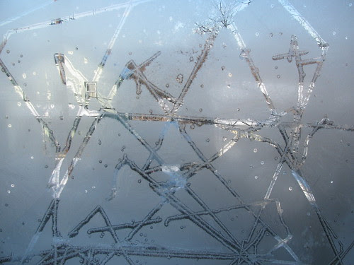 frosted window