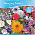 Collecting Nasturtium Seeds Uk - Grow the best nasturtium plants with flower seeds that are available in packets or in bulk from edenbrothers.com, offering free shipping on orders over $79.