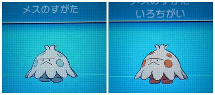 色キノココ Xy 色ポケめも