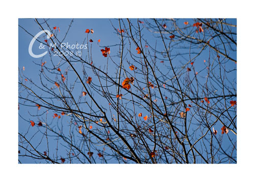 Oct1408_0004ew
