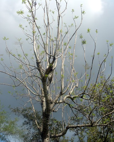 rain is coming