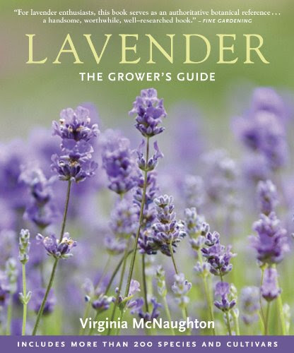 Lavender: The Grower's Guide, by Virginia McNaughton