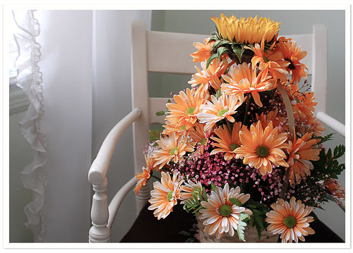 Orange Flowers