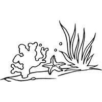 download coral category png clipart and icons freepngclipart freepngclipart