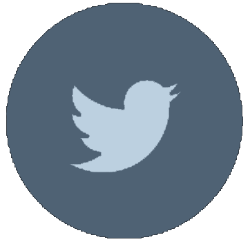 Web-Twitter-alt-2-Metro-icon