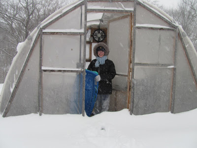 Greenhouse in snow 2