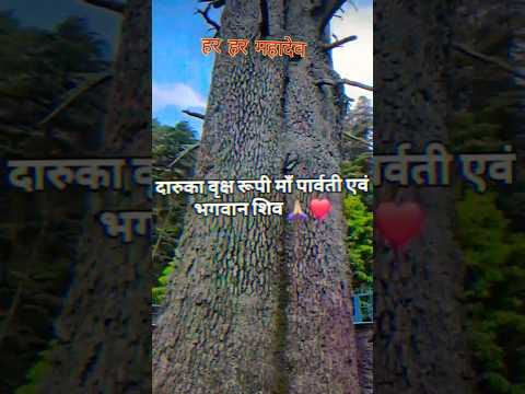 चित्र