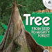 Read Online Tree, Grades 3 - 6: From Seed to Mighty Forest (Infinity) B008SLBGG0 PDF