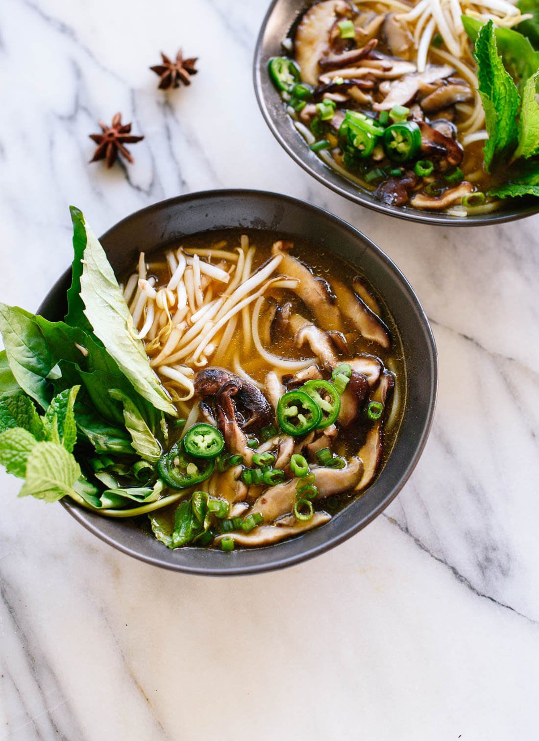 Vegetarian Pho Recipe (Vietnamese Noodle Soup) - Cookie ...