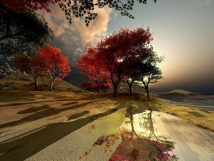 Todas as manhãs o Sol promove um verdadeiro espetáculo ao raiar no horizonte e no decorrer do dia, ilumina, aquece e dá vida às cores, Muitas vezes, porém, estamos tão preocupados com nossas tarefas e obrigações diárias, que não nos damos conta dessa preciosidade.