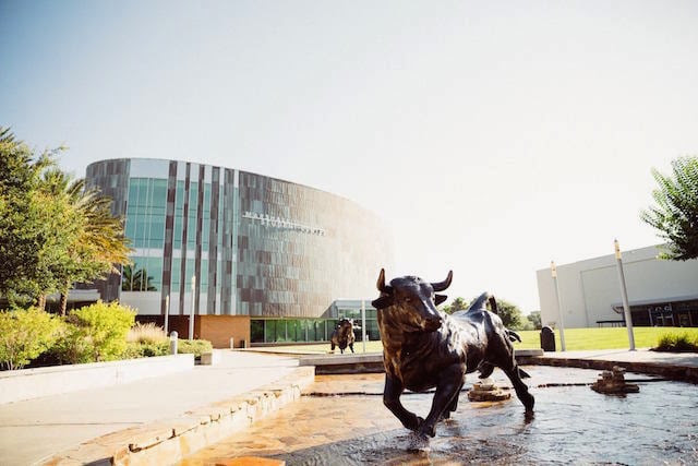 Scholarships for transfer students