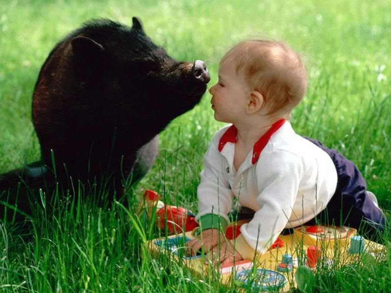 boy and animal