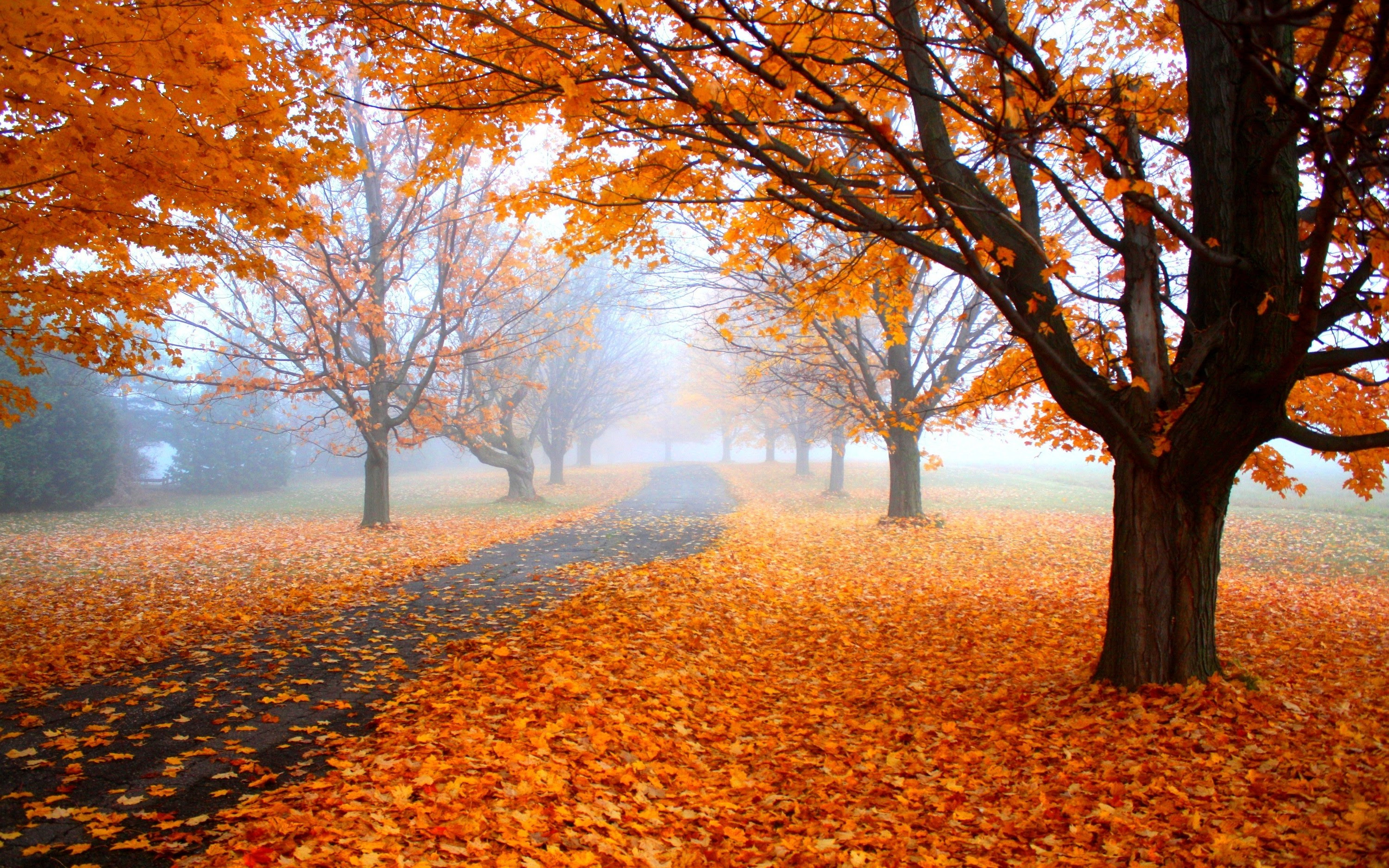 nature, Landscape, Fall Wallpapers HD / Desktop and Mobile ...
