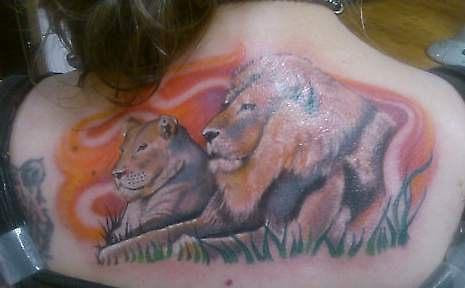 Lion and Lioness Drawing by Holly Paino
