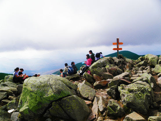 Mt Moosilauke Trail Map