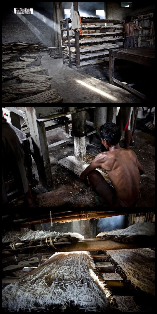 PacO4MM (13 Gambar) Cara Memproses Spaghetti Di Indonesia