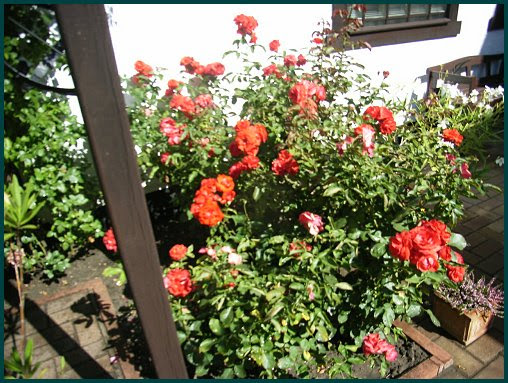 alles beste zum geburtstag