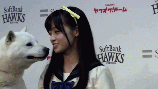 芸能 244ページ目 芸能ニュース速 まとめ