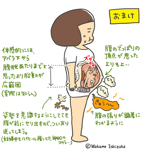 実録 これが妊娠６ヶ月の身体だ