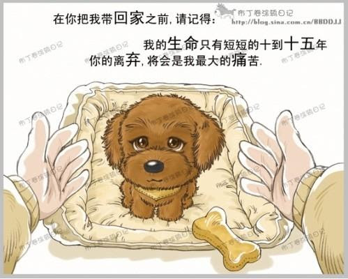 狗狗的一輩子 讓人感動死的十句話 每日頭條