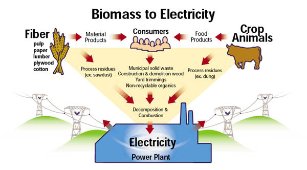 Biomass Energy